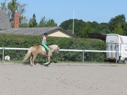 img_3217_web